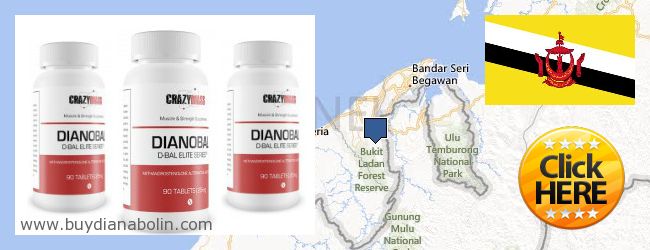 Compre Dianabol on-line Brunei Onde Comprar Dianabol on-line Brunei