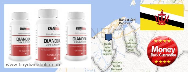 Купить Dianabol онлайн Brunei Где купить Dianabol онлайн Brunei
