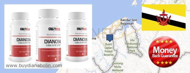 Где купить Dianabol онлайн Brunei