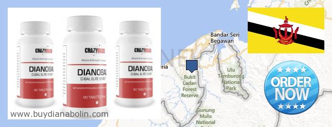 Де купити Dianabol онлайн Brunei